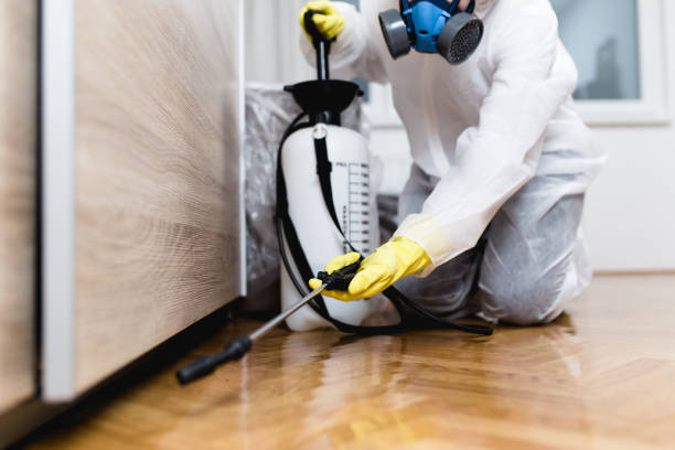 Best Residential Pest Control  in Tonto Basin, AZ