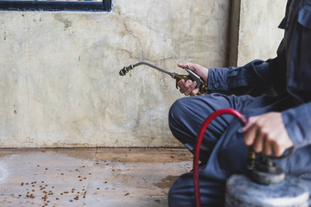 Best Pest Control Near Me  in Tonto Basin, AZ